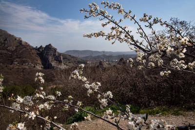 Прикрепленное изображение: IMG_7753.jpg